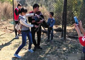 Several tourists hold a peacock at a wildlife park on the outskirts of Kunming, southwest China's Yunnan Province. (Photo/screenshot from the Internet)