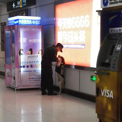 A police holds a dog's two forepaws and bowed his head as if in conversation with the dog. (Photo from Sina Weibo)