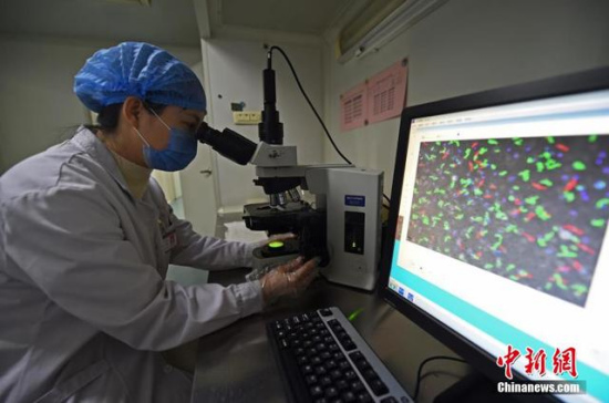 A medical staff tests donated sperm quality. (File photo/Chinanews.com)