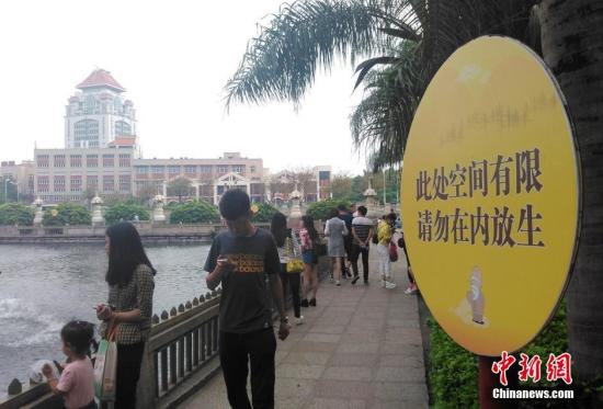 A pond in South Putuo Temple in Xiamen, Fujian Province is overcrowded with released tortoise. (File photo/Chinanews.com) 