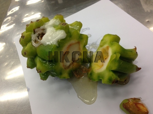 (Photo provided by Hong Kong China News Agency)