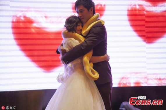 Wu Jianfeng, the groom, hugs his bride Jiang Xue while carrying a python at their wedding ceremony in Jilin City, Jilin Province, Sept. 16, 2016.(Photo/IC)