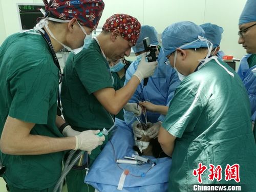Experts try to save panda Guo Guo. (Photo/Chinanews.com)