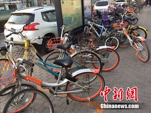 Photo shows bikes that users can easily ride or park under the sharing scheme. (Photo/Chinanews.com)