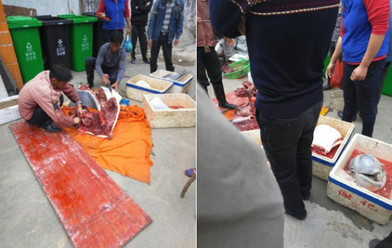 This combo photo shows two men are butchering a dolphin on the street in Zhuhai, Guangdong Province. (Photo from Weibo)