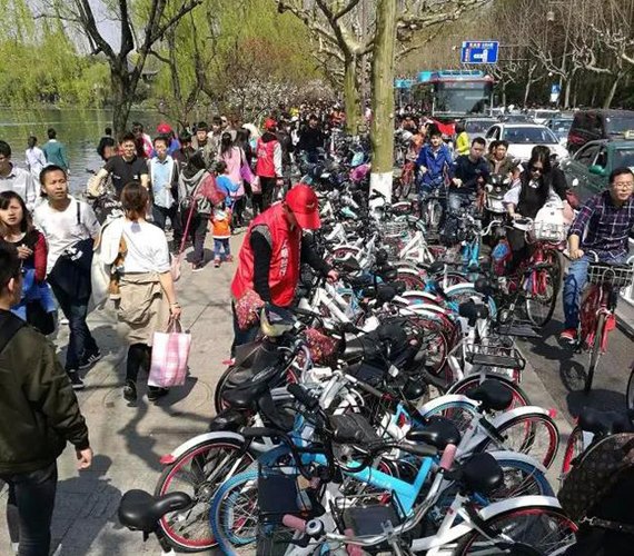 Bikes are disorderly parked at a scenic spot in East China's Hangzhou City. (Photo/Qianjiang Evening News)