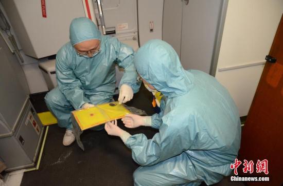 Quarantine officers in Sichuan catch a mouse on a flight from the United States. (Photo/Chinanews.com)