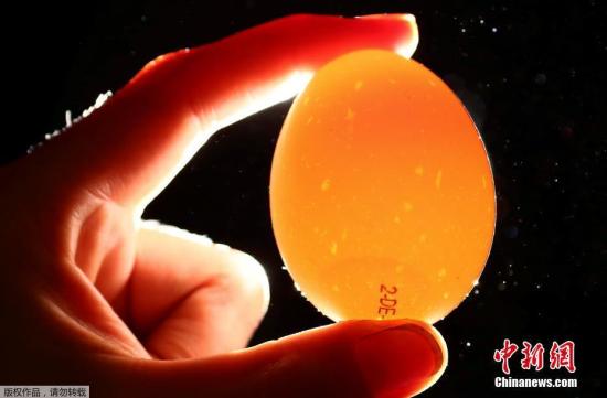 A tainted egg is seen. (Photo/Chinanews.com)