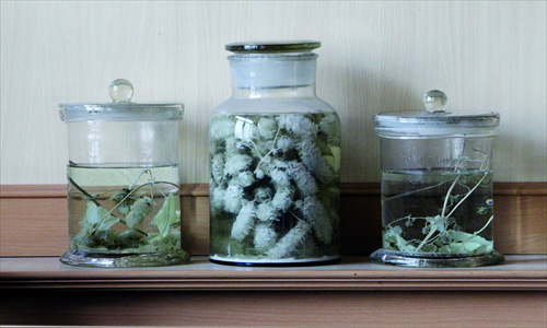 Hops, skips and jumps: the process of making beer involves a lot [Photo: CFP]