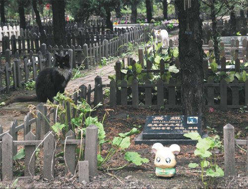 Fewer than 200 pet animals are buried at Bo'ai Companion Animal Burial Service Center in Beijing. (China Daily/Xu Lin)