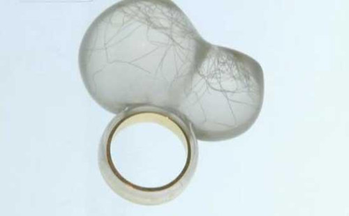 A new exhibition of modern jewelry at the Museum of the China Central Academy of Fine Arts in Beijing aims to change people's perceptions.  