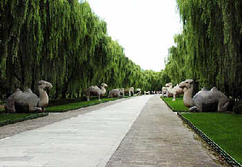 Shixiangsheng