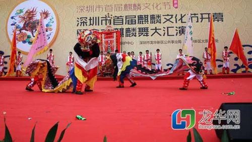 The first Kylin Dance Festival has been held in Shenzhen, in southern China's Guangdong Province.
