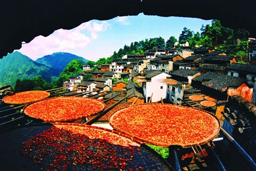 Baskets of red chilies bask in the autumn sun before they appear on the dining table. Photo provided to China Daily