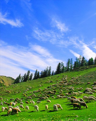 A view from Tianshan Mountains 