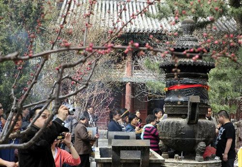 People visit Tanzhe Temple to enjoy Yulan Magnolia in Beijing, capital of China, April 9, 2011.(Xinhua file photo)