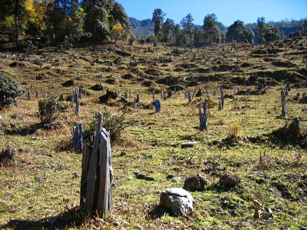 A picture taken in 2000 features forests cut down in Boduoluo village, when villagers earned their living by selling wood. Photos Provided to China Daily  