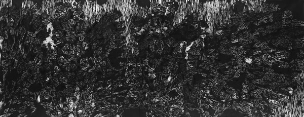  No longer speak casually [Provided by Today Art Museum]