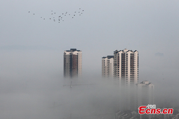 Photo taken on October 8, 2013 shows fog-shrouded Chongqing municipality. [CNSPHOTO]