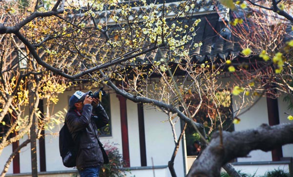 Shanghai Guyi Garden welcomes visitors with winter flowers. Provided to China Daily 