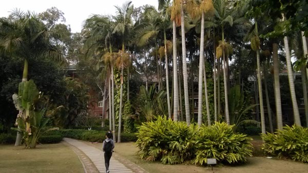 The campus of Xiamen University has been considered one of the most scenic in the country. Photos by Sun Ye/China Daily 
