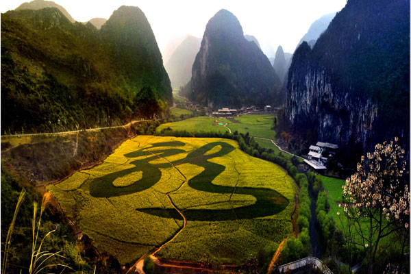 A rape flower field resembles the Chinese character long, meaning dragon, in Anshun, Guizhou province. Photo Provided to China Daily