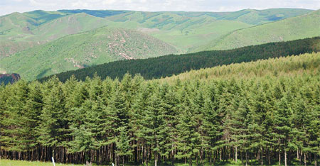 The Daqing Mountain range in Hohhot, capital of the Inner Mongolia autonomous region, is renowned for its natural landscape and local culture. Liu Xingshuang / for China Daily