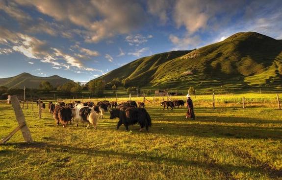 Xinduqiao [File photo]  