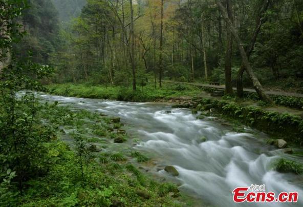 Picturesque scenes are seen along the Jinbian River after days of raining in the Zhangjiajie National Forest Park, Central Chinas Hunan province, November 30, 2014. (Photo: China News Service)