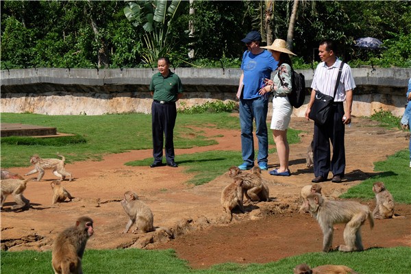Visitors get close to monkeys at Hainan Tropical Wildlife Park and Botanical Garden, June 9, 2015. Photo by Huang Yiming/China Daily
