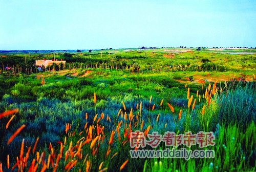 The sandy land in 2007.