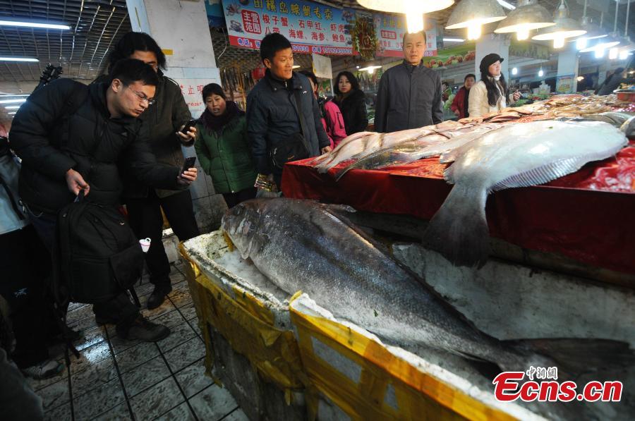 Unknown monster Fish Caught In Shandong 5 5 Headlines Features 