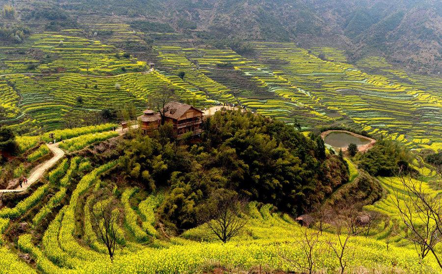 Destinations for a Qingming outing(1/9)