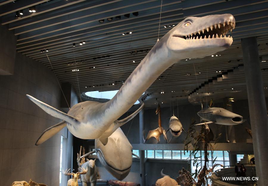 Natural History Museum opens in Shanghai (1/6)