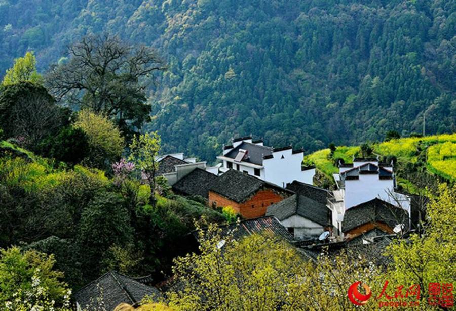 Picturesque Zhapingtan village(1/7)