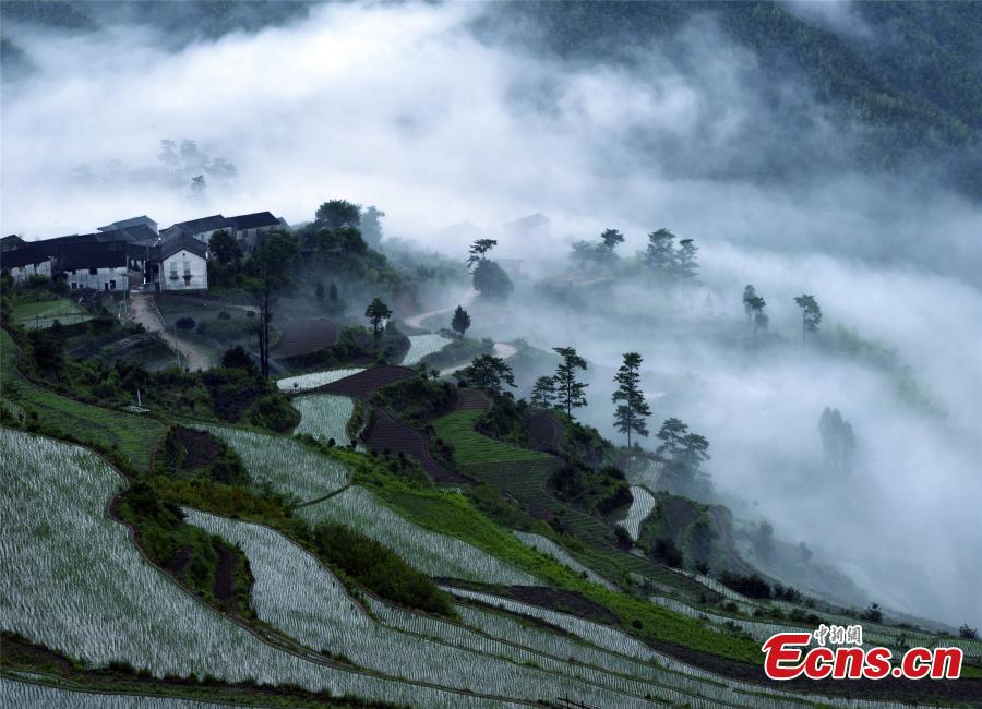 Terraced fields now in farming season (1/2)