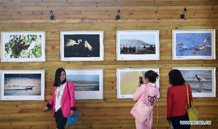 Bird watching festival launched in NE China(1/4)