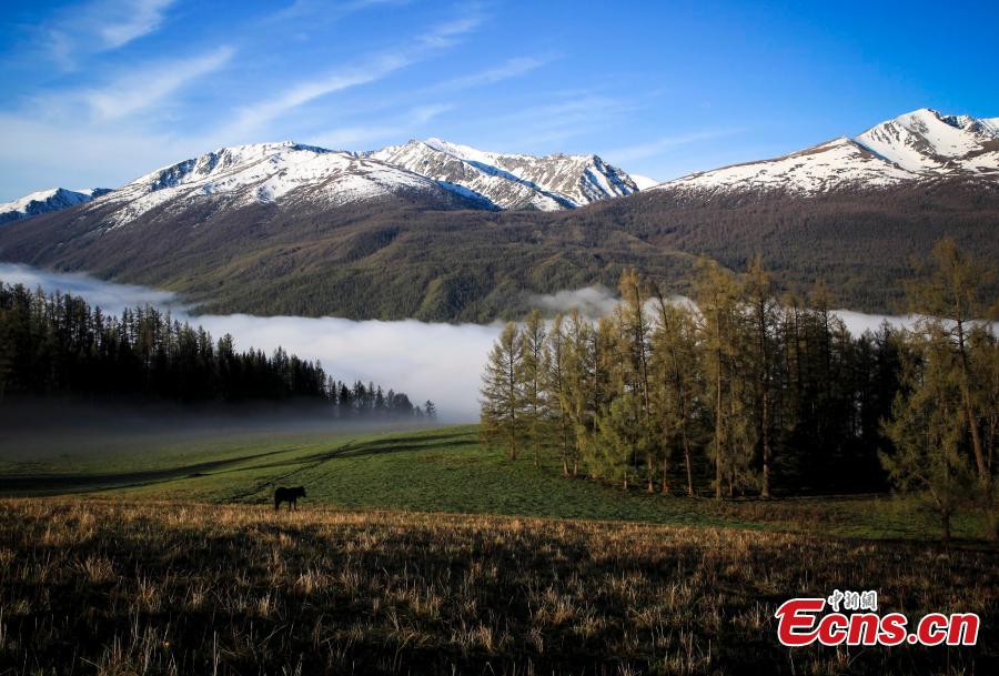 Sea of clouds cover Kanas Lake scenic spot(1/4)