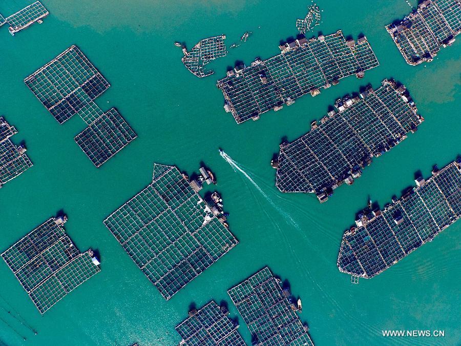 SE China prepares for Typhoon Chan-hom and Linfa(1/5)