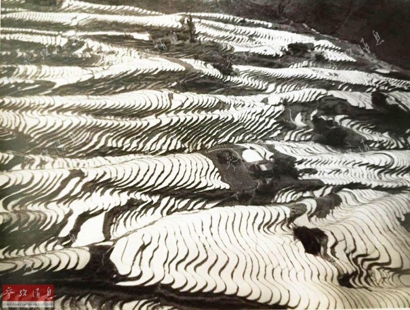 Rice field filled with water covers the hillside. (Photo/cankaoxiaoxi)