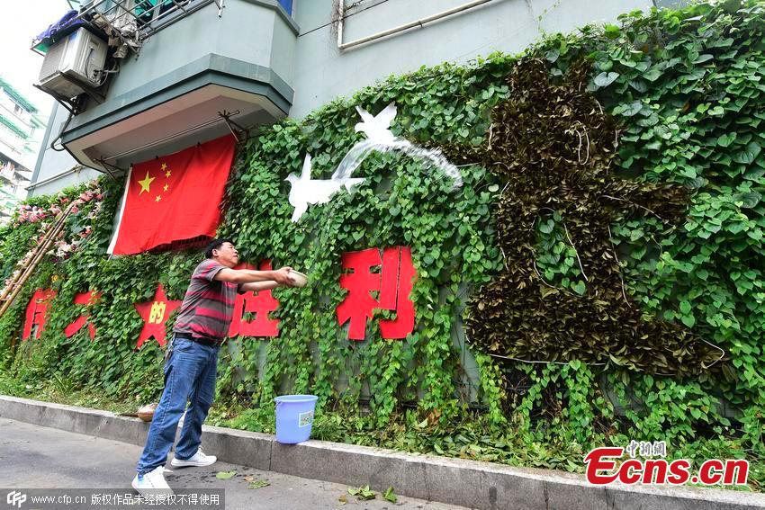 Man fascinated with climbing plant creations (1/3)