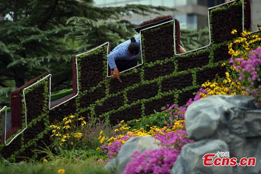 Floral 'Great Wall' almost ready for parade(1/14)