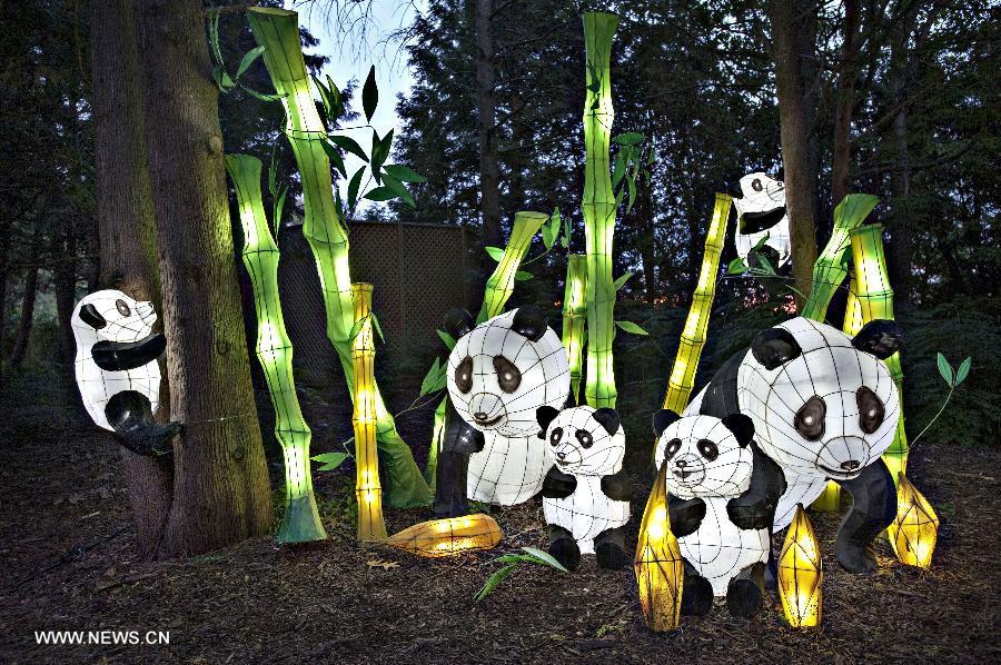 Chinese lanterns bring Montreal Botanical Gardens' Chinese Garden to life(1/2)