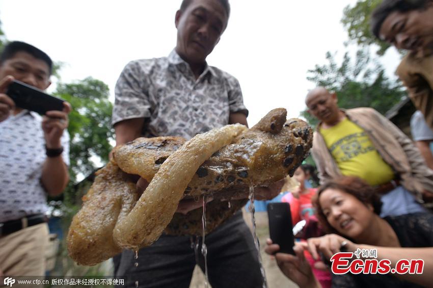 Mysterious 'creature' found in Chengdu (1/4)