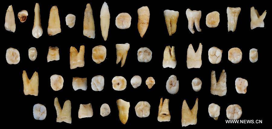 Teeth reveal modern humans in Asia 80,000 years ago(1/7)
