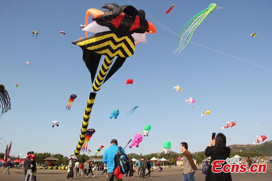 Seaside kite festival held in east China's county(1/1)