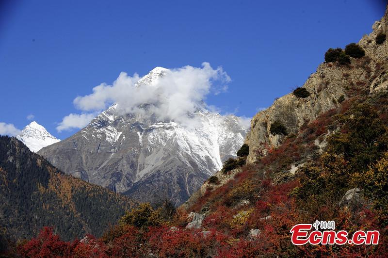 Picturesque Tibet(1/1)