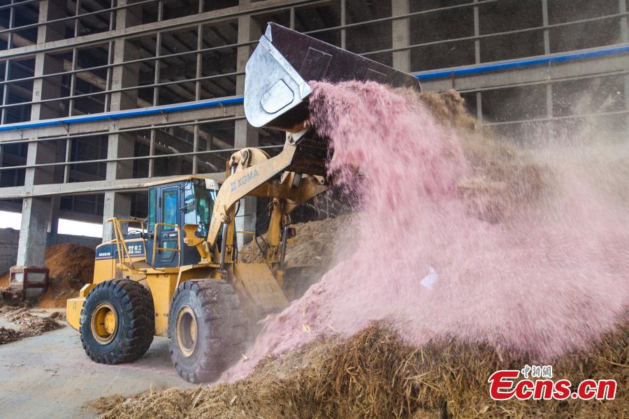 Damaged banknotes go up in smoke to generate electricity(1/4)
