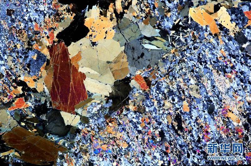 Gabbros under electron microscope (1/6)