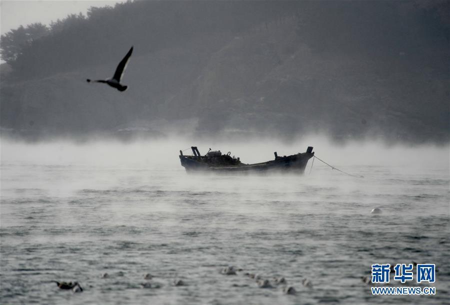 Cold air forms vapor waves over sea(1/4)